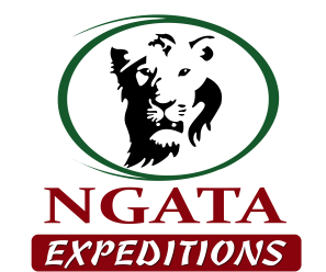 Ngata Expeditions